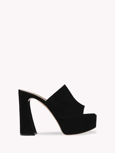 Gianvito Rossi Holly Mule In Black Suede