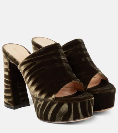 Gianvito Rossi Zebra-print Platform Mules In Mink