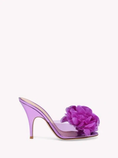 Gianvito Rossi Igea Mules In Multi