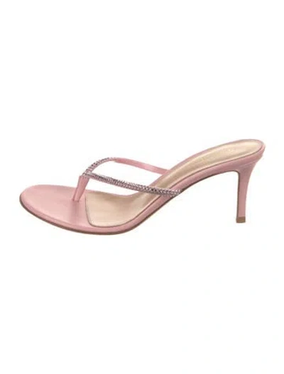 Pre-owned Gianvito Rossi India Leather Slides In Pink