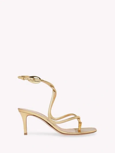 Gianvito Rossi Jungle Mamba 70 Thong In Gold