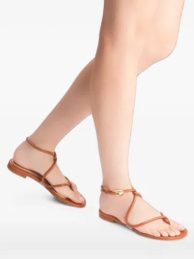 Gianvito Rossi Jungle Mamba Flat Sandals In Brown