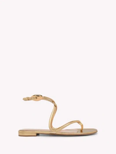 Gianvito Rossi Jungle Mamba Flat Sandals In Neutral