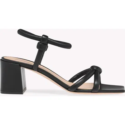 Gianvito Rossi Juno 55 Sandals In Black