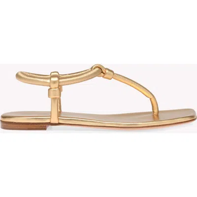 Gianvito Rossi Juno Metallic Leather Thong Sandals In Gold