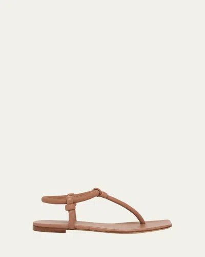Gianvito Rossi Juno Tubular Leather Thong Sandals In Brown