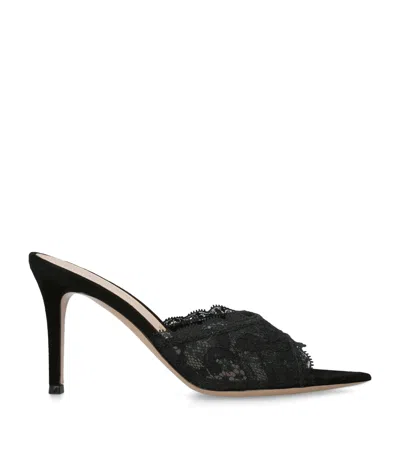 Gianvito Rossi Lace Claudia Mules 85 In Black