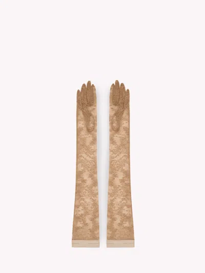 Gianvito Rossi Lace Gloves In Neutral