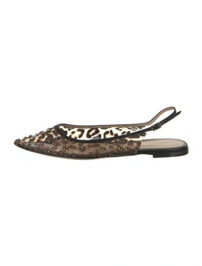 Pre-owned Gianvito Rossi Leather Animal Print Slingback Flats In Multi
