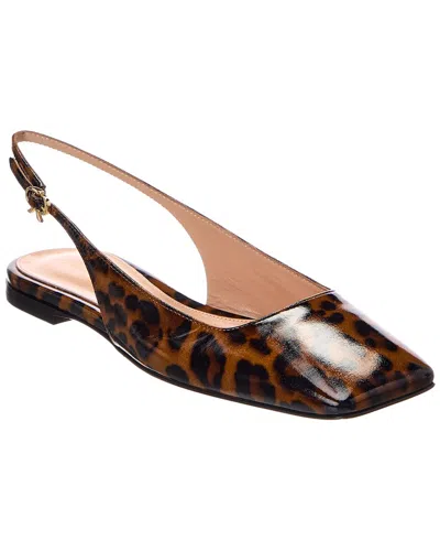 Gianvito Rossi Leather Ballerina Flat In Multi