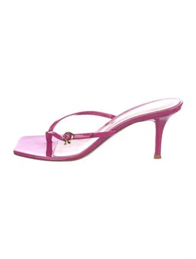 Pre-owned Gianvito Rossi Leather Flip Flops In Pink