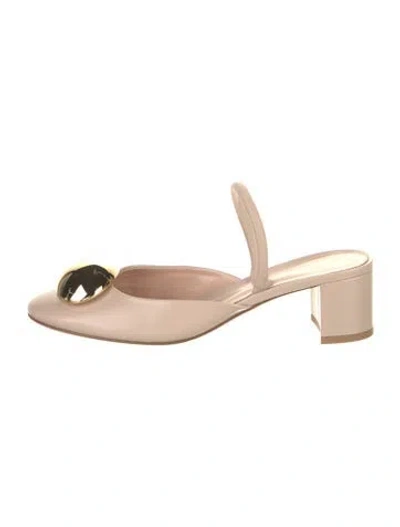 Pre-owned Gianvito Rossi Leather Floral Print Mules In Neutral