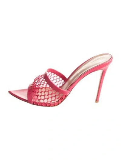 Pre-owned Gianvito Rossi Leather Mesh Accents Slides In Pink