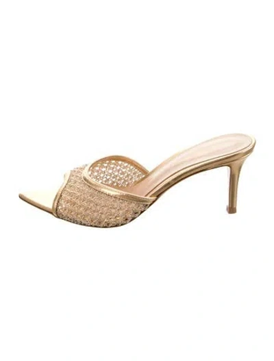 Pre-owned Gianvito Rossi Leather Slides