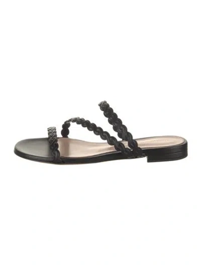 Pre-owned Gianvito Rossi Leather Slides W/ Tags In Black