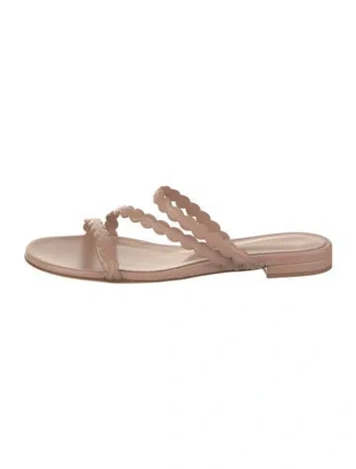 Pre-owned Gianvito Rossi Leather Slides W/ Tags In Brown