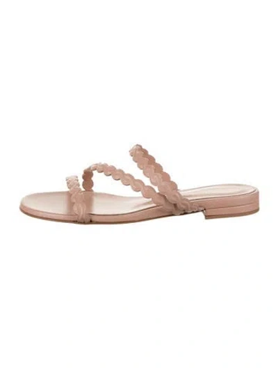 Pre-owned Gianvito Rossi Leather Slides W/ Tags In Neutral