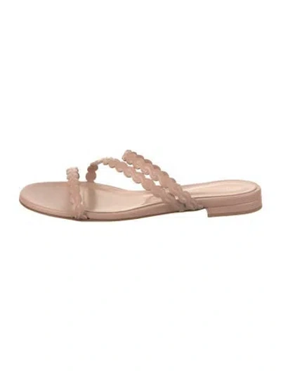 Pre-owned Gianvito Rossi Leather Slides W/ Tags In Neutrals