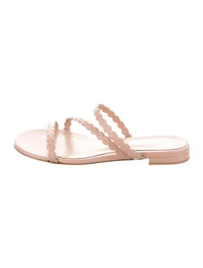 Pre-owned Gianvito Rossi Leather Slides W/ Tags In Pink