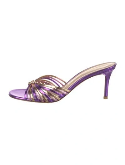 Pre-owned Gianvito Rossi Leather Slides W/ Tags In Purple