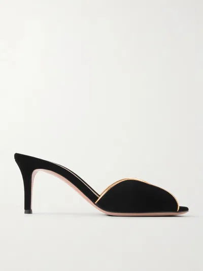 Gianvito Rossi 70 Leather-trimmed Velvet Mules In Black