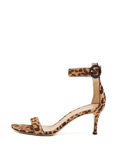 Pre-owned Gianvito Rossi Leopard-print Ankle-strap Sandals In Brown