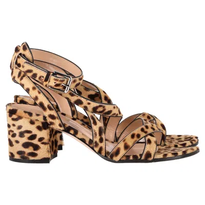 Gianvito Rossi Leopard Print Sandal Heels In Brown Calf Hair