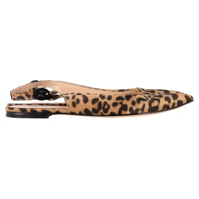 Gianvito Rossi Leopard-print Slingback Ballet Flats In Brown Satin In Animal Print