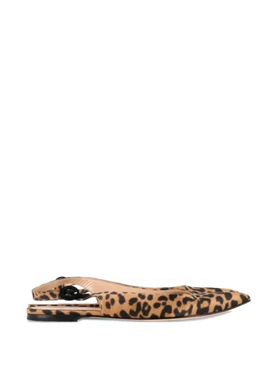 Pre-owned Gianvito Rossi Leopard-print Slingback Flat Pumps In Neutral