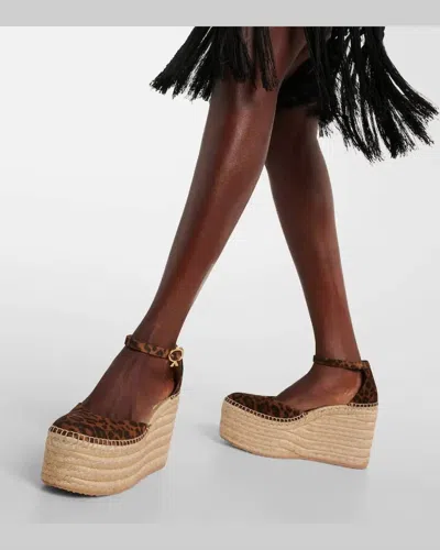 Gianvito Rossi Leopard-print Suede Espadrille Platform In Brown