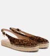 Gianvito Rossi Leopard-print Suede Espadrilles In Brown