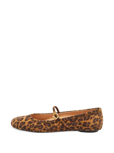 Pre-owned Gianvito Rossi Leopard-pattern Ballet Flats In Brown
