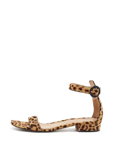 Pre-owned Gianvito Rossi Leopard-print Ankle-strap Sandals In Brown
