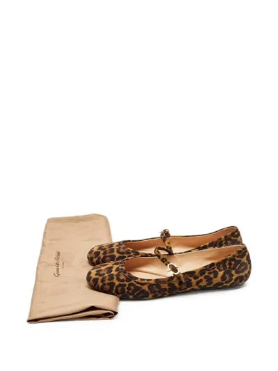 Pre-owned Gianvito Rossi Leopard-print Ballet Flats In Brown