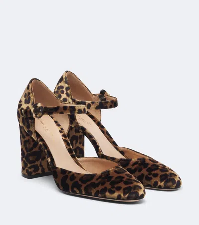 Gianvito Rossi Leopard-print Velvet Pumps In Yellow