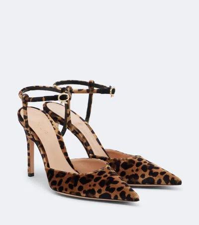 Gianvito Rossi Leopard-print Velvet Slingback Pumps In Multi