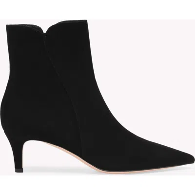 Gianvito Rossi Levy 55 Booties In Black