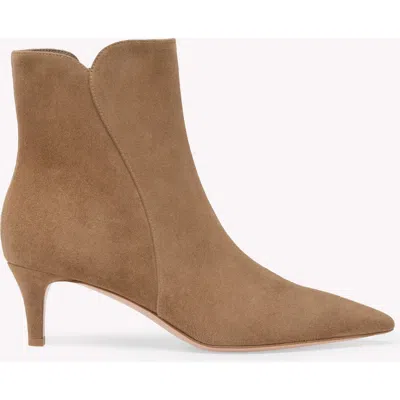 Gianvito Rossi Levy 55 Booties In Brown