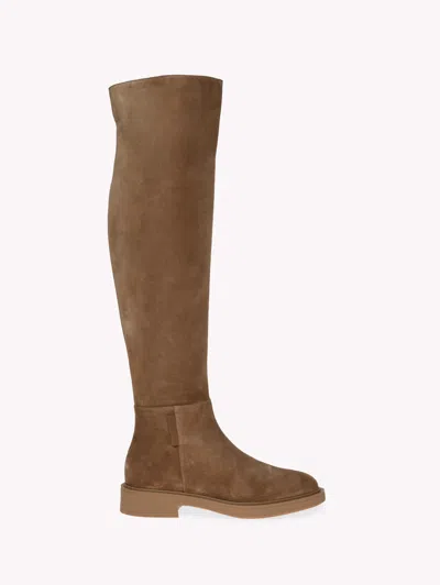 Gianvito Rossi Suede Over-the-knee Boots In Camel Camel