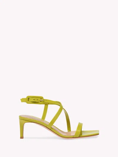 Gianvito Rossi Lindsay Sandal In Green