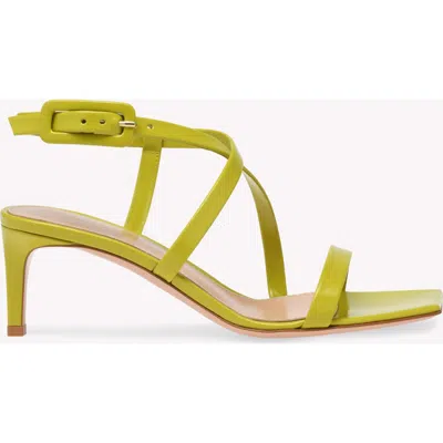 Gianvito Rossi Lindsay Sandal In Green