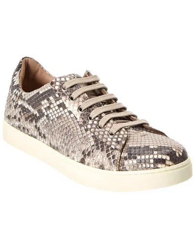 GIANVITO ROSSI GIANVITO ROSSI LOW TOP PYTHON SNEAKER
