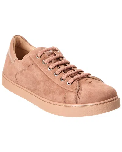 Gianvito Rossi Low Top Suede & Leather Sneaker In Pink