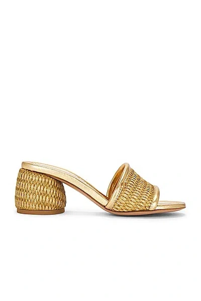 Gianvito Rossi Marbella 60 Metallic Leather-trimmed Raffia Sandals In Mekong