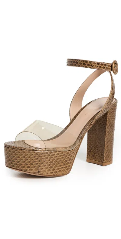 Gianvito Rossi Maya Sandals Mekong/desert In Brown