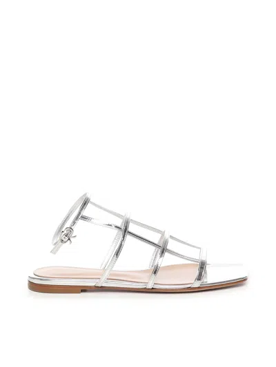 Gianvito Rossi Metallic Square Toe Flat Sandals In Silver