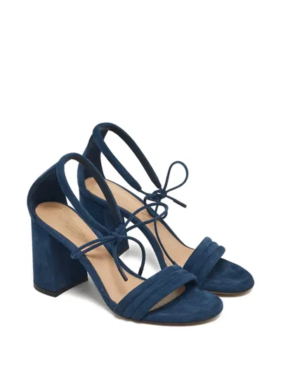 Pre-owned Gianvito Rossi Midnight Suede Sandals In Blue