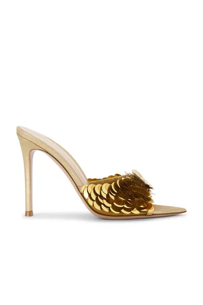 Gianvito Rossi Mule Sandal In Brown