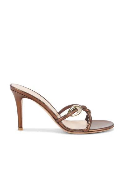 Gianvito Rossi Mule Sandal In Chocolate