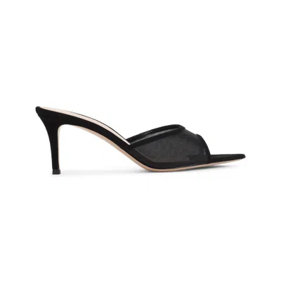 Gianvito Rossi 70mm Dorotea Pointed-toe Heeled Mules In Black